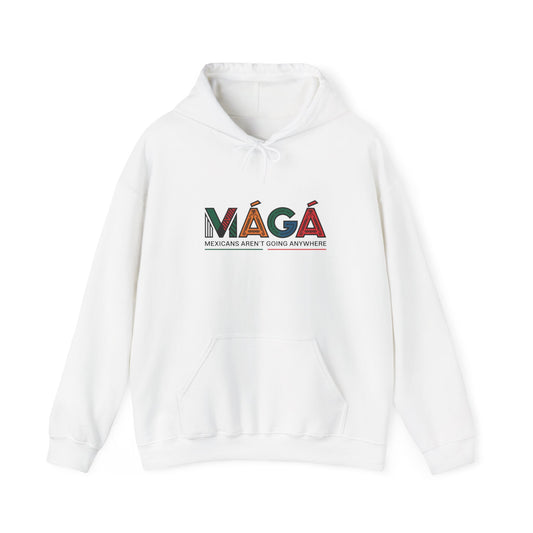 Redefined MAGA Message - Hoodie Celebrating Human Rights